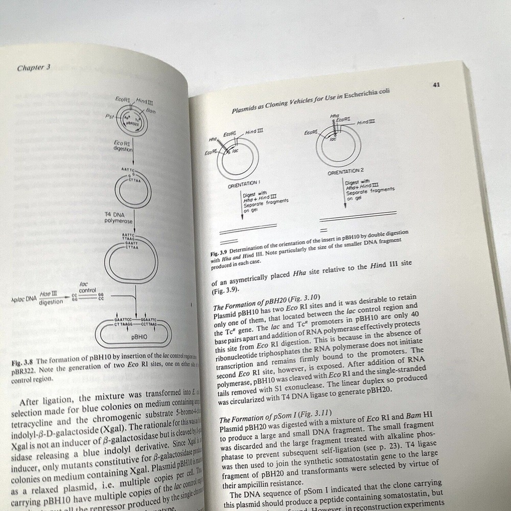 Principles of Gene Manipulation An introduction to Genetic Engineering Primrose - Picture 4 of 7